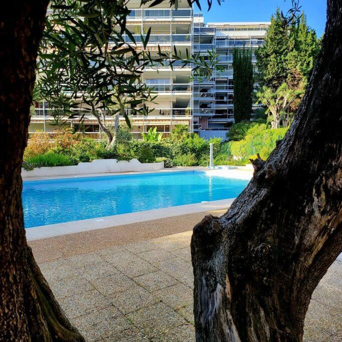 Grand Studio Localisation Ideale Αντίμπ Εξωτερικό φωτογραφία
